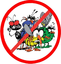 X Out Critters by Pesky Critters Pest Control, Wilmington MA and Raymond NH